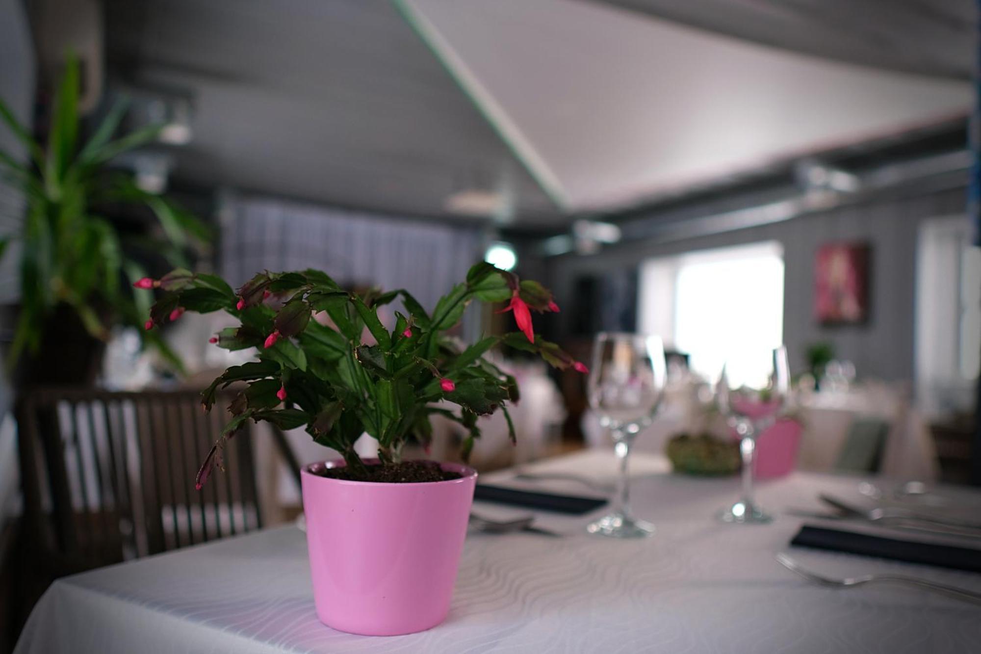 Vergi Sadam & Restoran Wirkes' Eksteriør billede